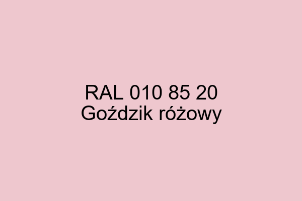 RAL 010 85 20 ral design