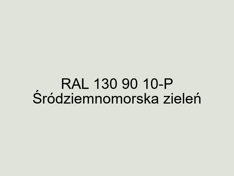 RAL 130 90 10 P paleta ral plastics p2