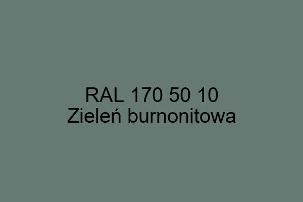 RAL 170 50 10 ral design