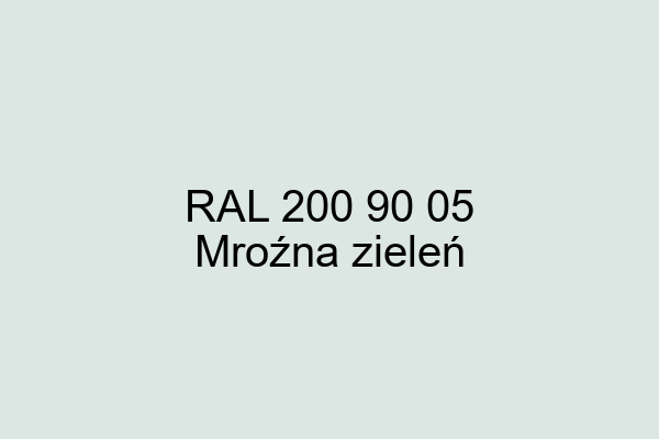 RAL 200 90 05 ral design