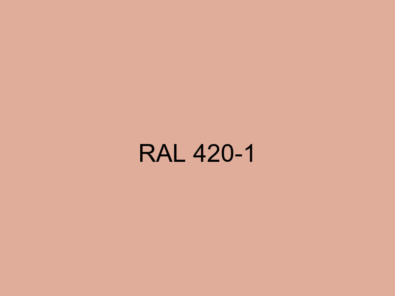 RAL 420 1 paleta ral effect